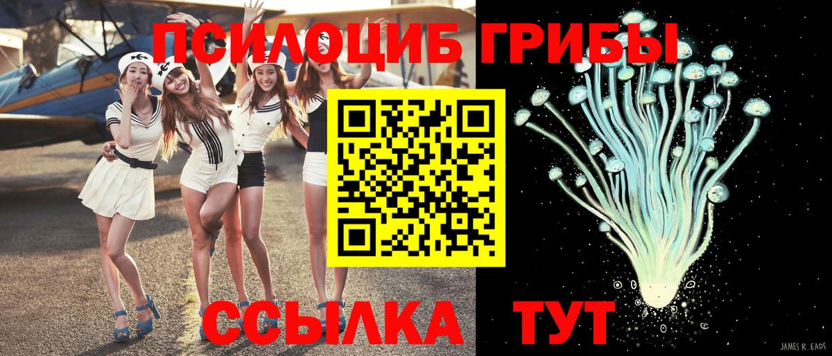 Галлюциногенные грибы MAGIC MUSHROOMS Саяногорск